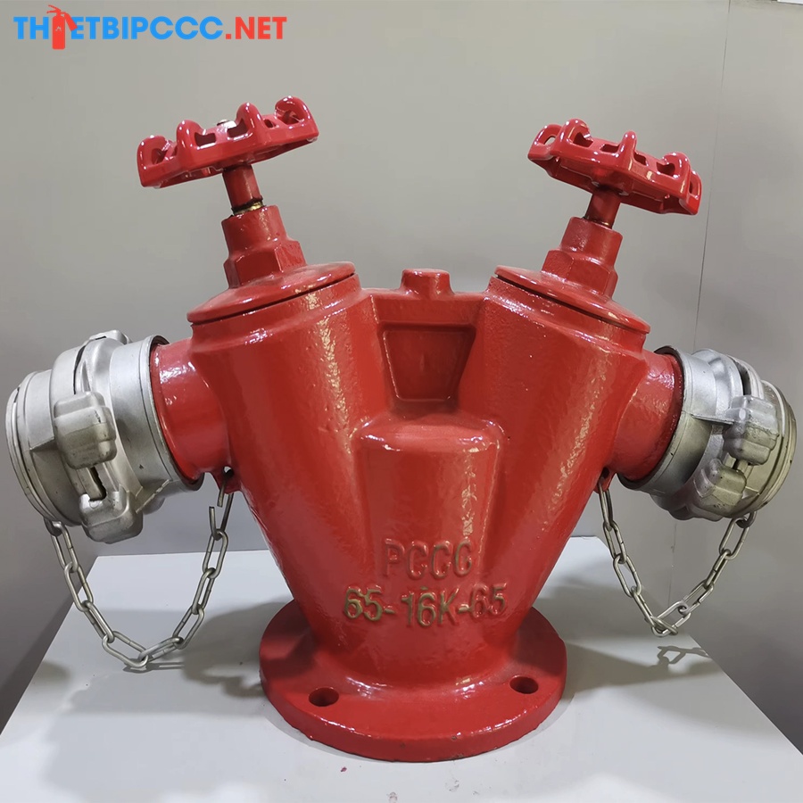 Cột lấy nước chữa cháy 2 họng DN65 Ø65mm