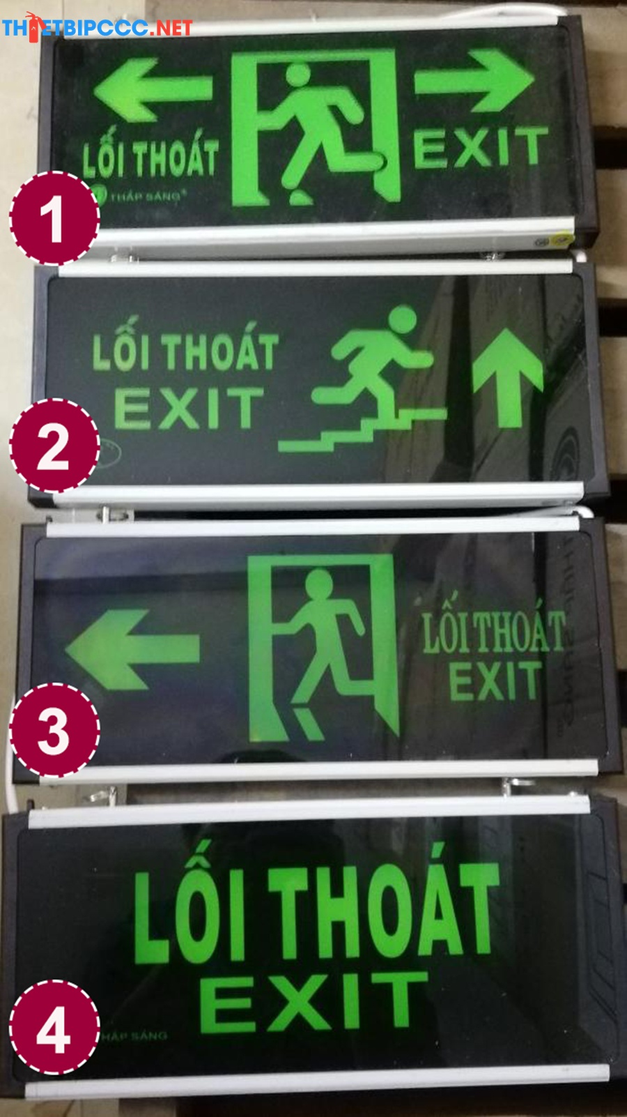 Tại sao đèn Exit luôn có màu xanh lá cây?