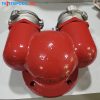 Họng tiếp nước chữa cháy Trung Quốc 2 cửa DN65 Ø65mm