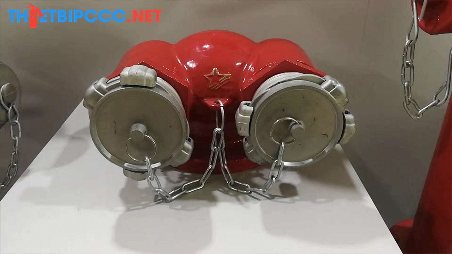 Họng tiếp nước chữa cháy Trung Quốc 2 cửa DN65 Ø65mm