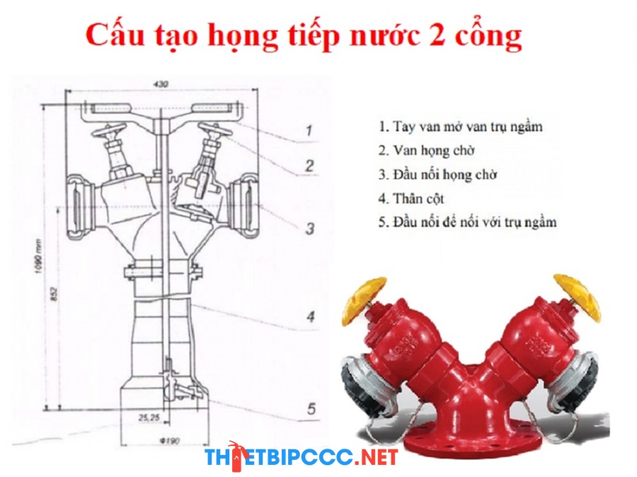 Cấu tạo và Nguyên lý "Một Chiều" Họng tiếp nước pccc